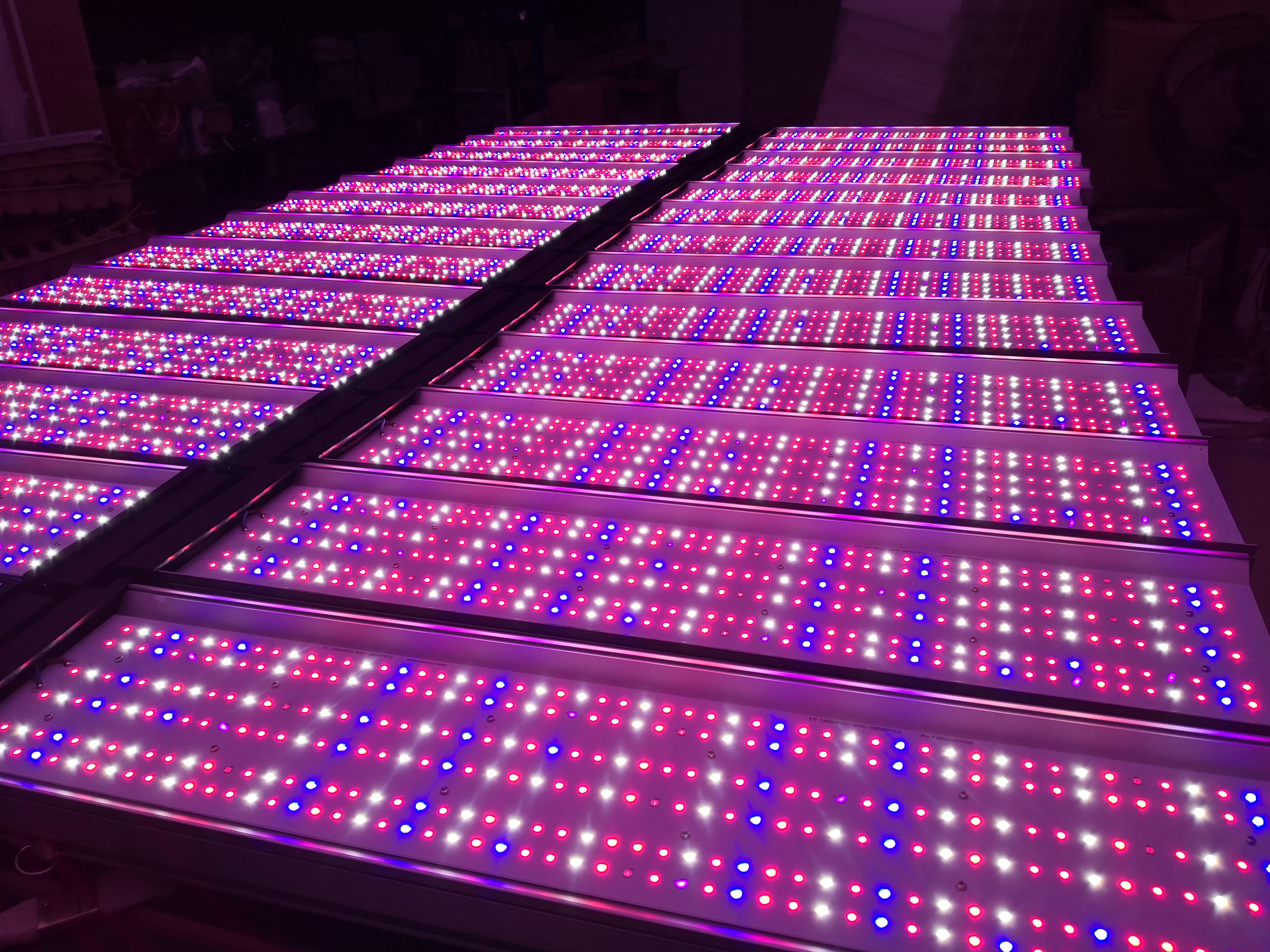 300W LED wachsen Licht